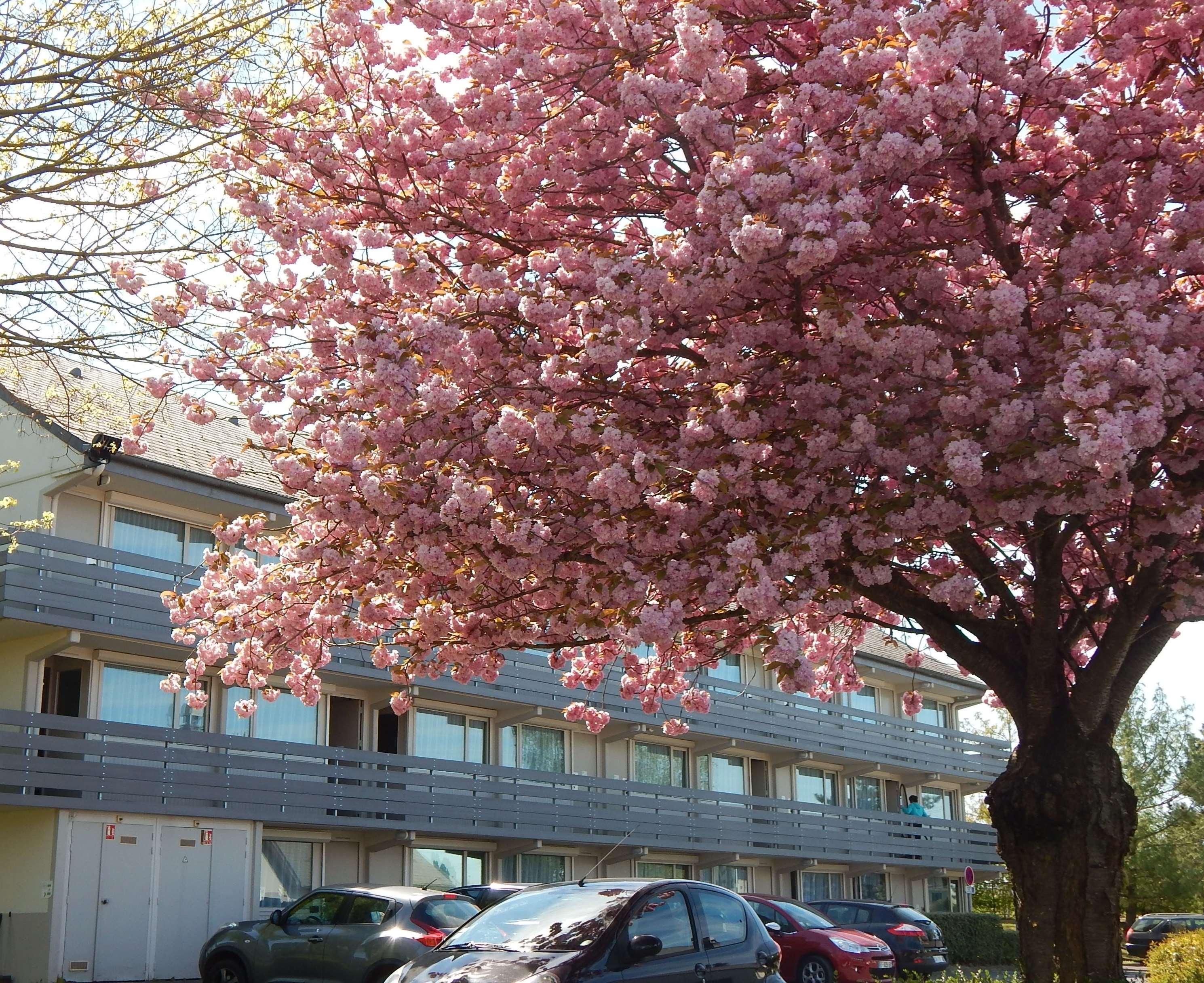 Campanile Reims Est - 3* Taissy