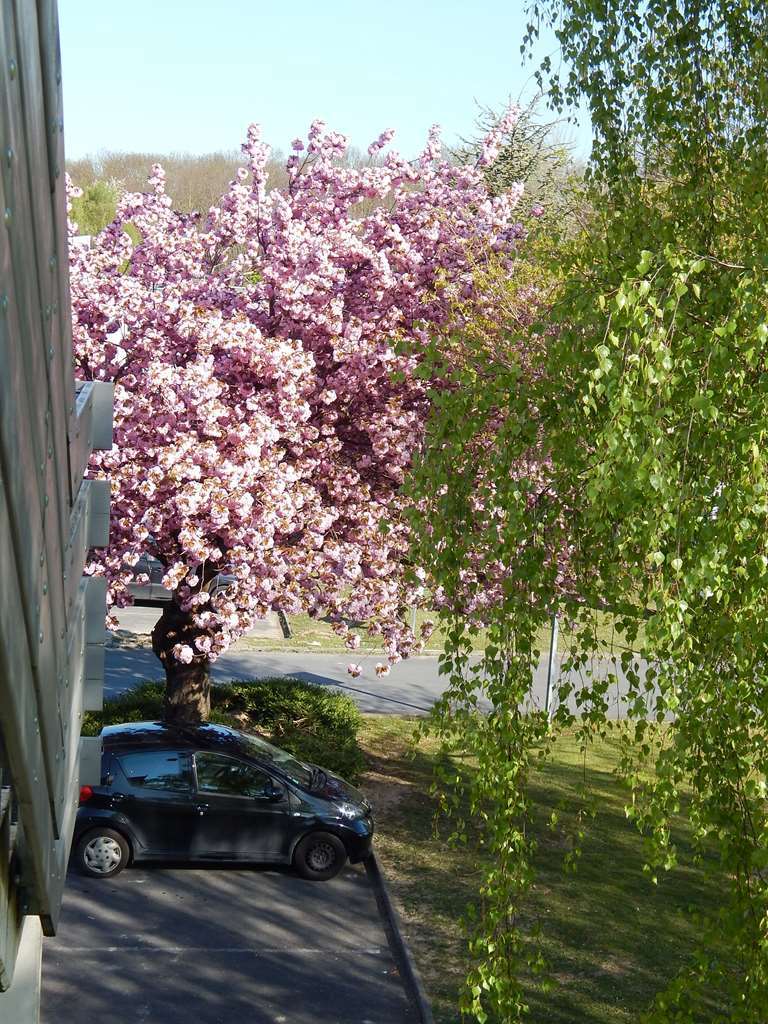 Hotel Campanile Reims Est - Taissy